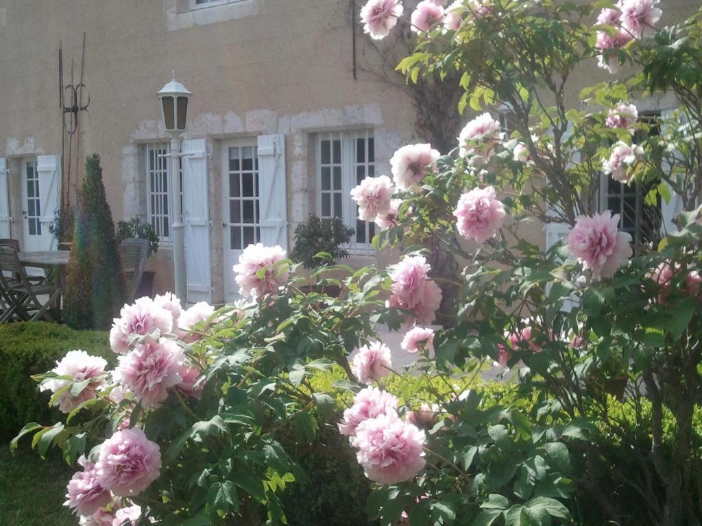 Guest House Le Clos Pasquier Blois Kültér fotó